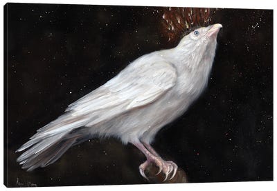 Illuminate Canvas Art Print - Dove & Pigeon Art