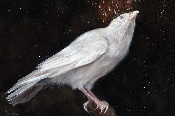 Doves & Pigeons: Illuminate by Kyra Wilson