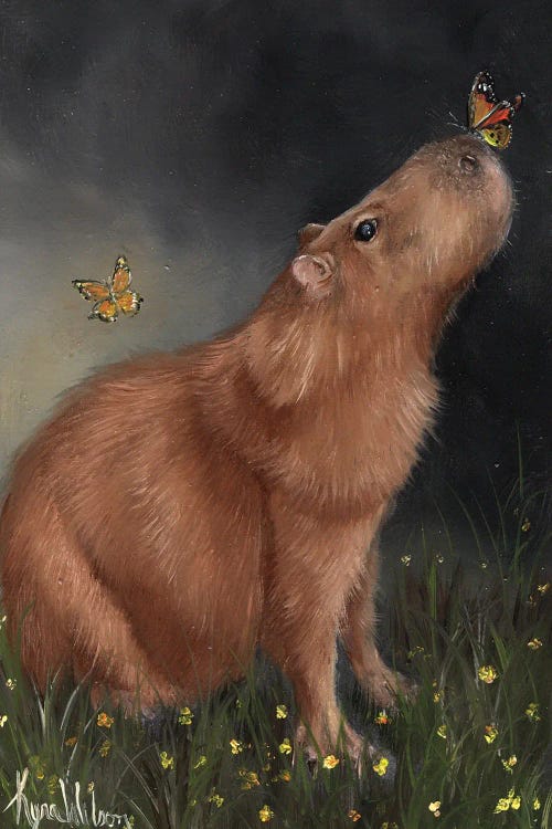 Capybara by Kyra Wilson wall art