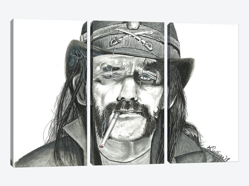 Lemmy by Kathy Sullivan 3-piece Canvas Art