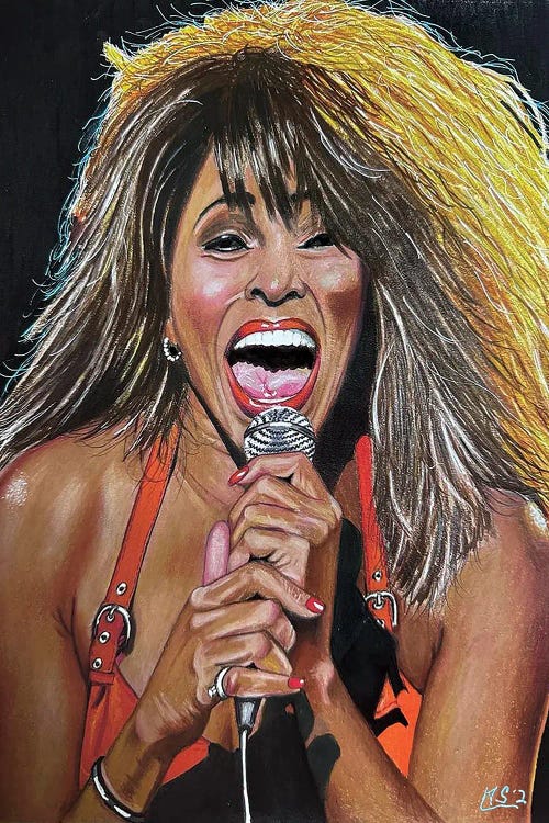 The Fabulous Tina Turner