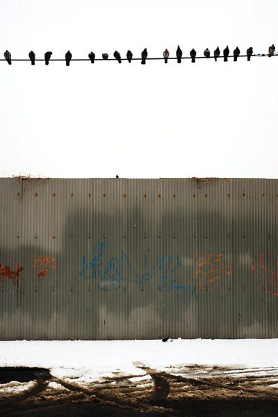 Birds In Icy Horizons by Kenzo Ejiri art print