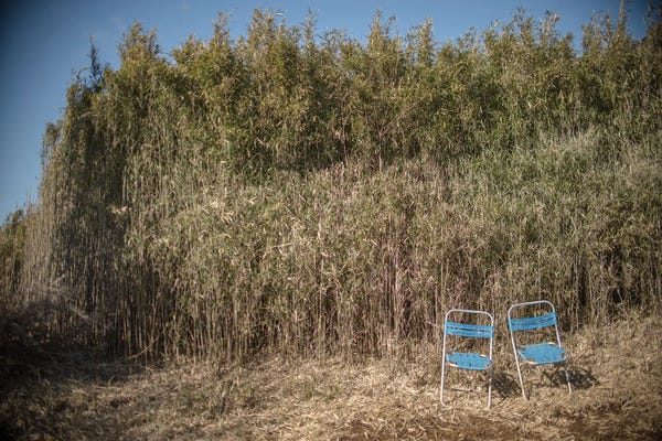Kenzo Ejiri: Cute Chair Couple by Kenzo Ejiri