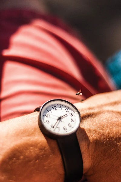 Kenzo Ejiri: Time Flies by Kenzo Ejiri