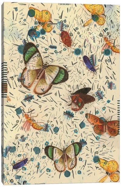 Confetti With Butterflies III Canvas Art Print