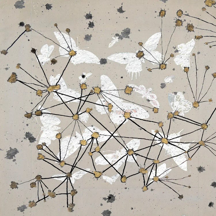 19th Century Butterfly Constellations I