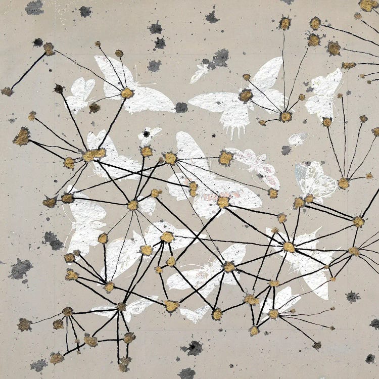 19th Century Butterfly Constellations