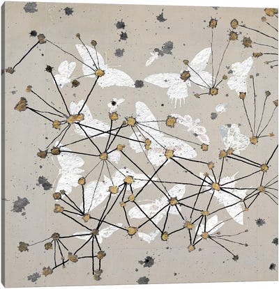 19th Century Butterfly Constellations I Canvas Art Print