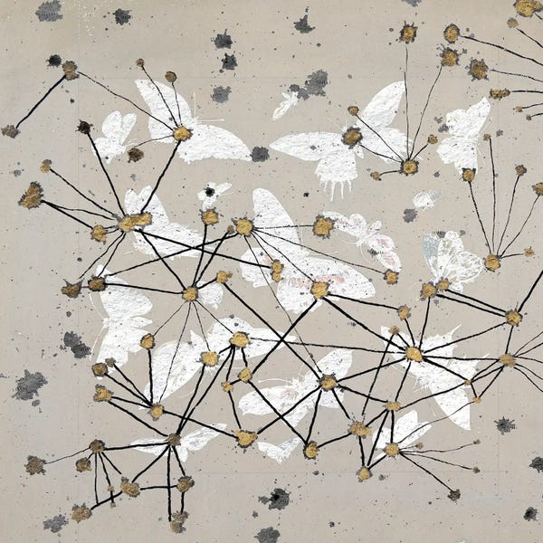 19th Century Butterfly Constellations