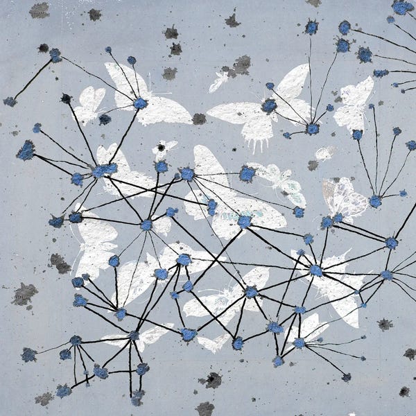 19th Century Butterfly Constellations In Blue I