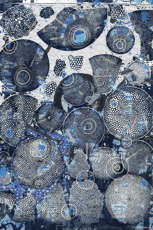 Black And Blue Algae