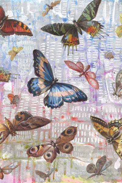 Rainbow Lines With Butterflies by Lori Arbel canvas print