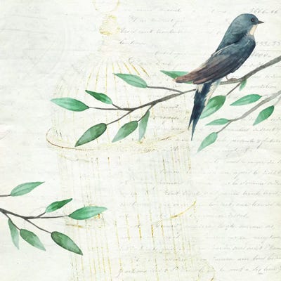 Birds - Unframed Prints: Freedom by 5by5collective