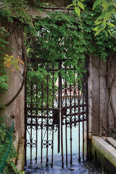 Gates: Elegant Canal Entrance by Laura DeNardo