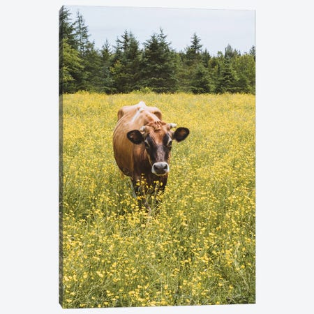 Vermont Resident Canvas Print #LAE18} by Laurel Anderson Canvas Print