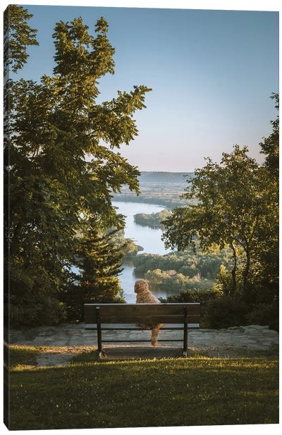 A Bench With A View Canvas Art Print - Laurel Anderson