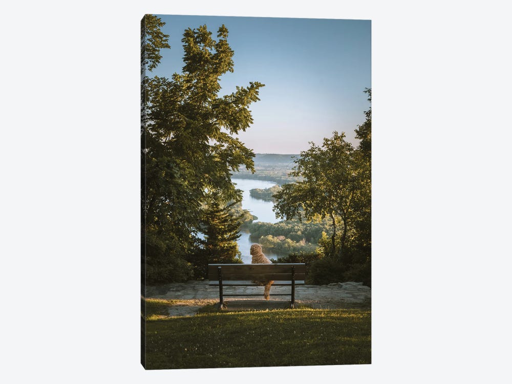 A Bench With A View by Laurel Anderson 1-piece Canvas Wall Art