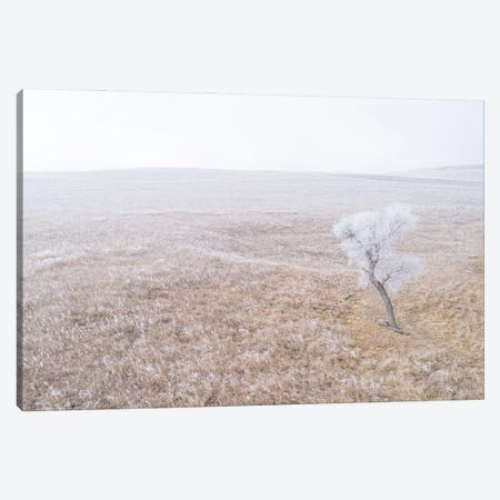 Crystal Trees Canvas Print #LAE33} by Laurel Anderson Canvas Print