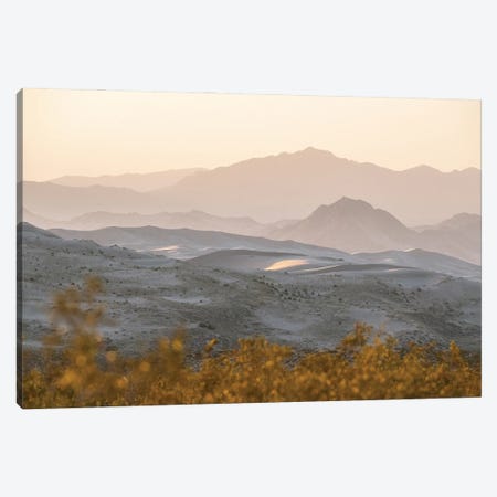 Mojave Magic Canvas Print #LAE44} by Laurel Anderson Canvas Art Print