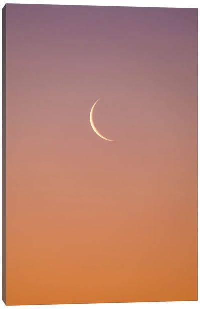 Desert Moon Canvas Art Print - Rothko Inspired Photography
