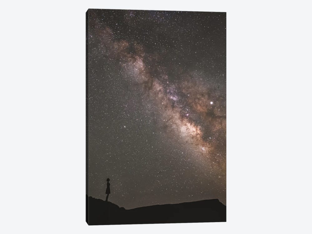 Of The Stars by Laurel Anderson 1-piece Canvas Art