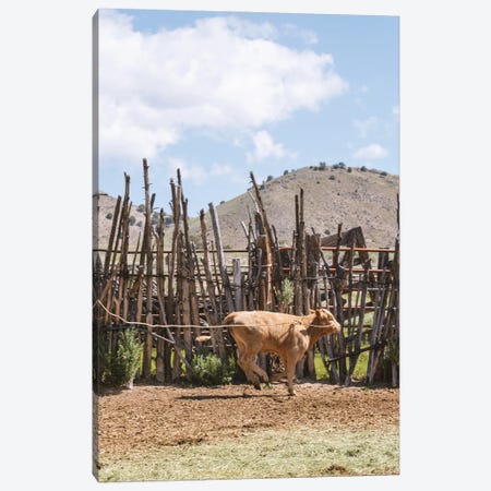 Ranch Round Up Canvas Print #LAE54} by Laurel Anderson Canvas Art
