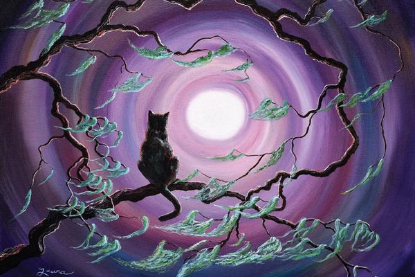 Black Cats: The Wind In My Fur by Laura Iverson
