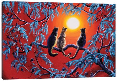 Three Cats In A Bright Red Sunset Canvas Art Print - Laura Iverson