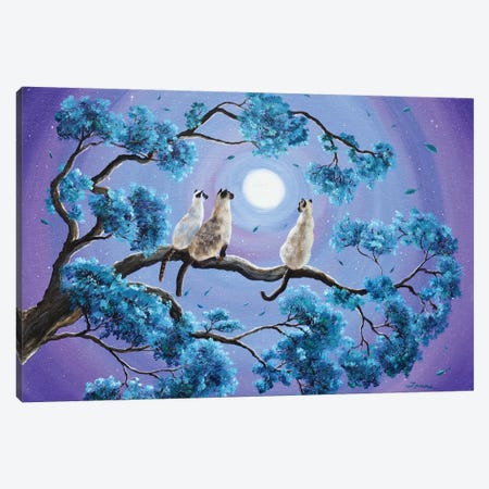 Three Siamese Cats In Moonlight Canvas Print #LAI104} by Laura Iverson Canvas Artwork