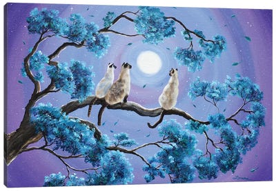 Three Siamese Cats In Moonlight Canvas Art Print - Laura Iverson