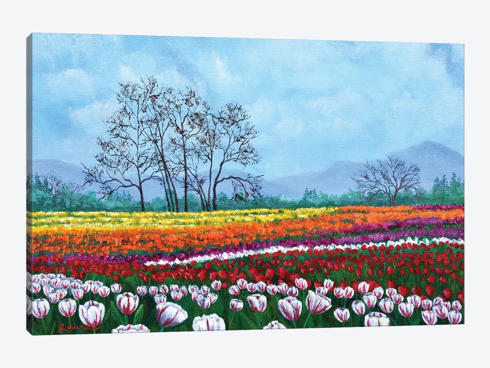 Tulip Fields Under White Fluffy Clouds 1-piece Canvas Artwork