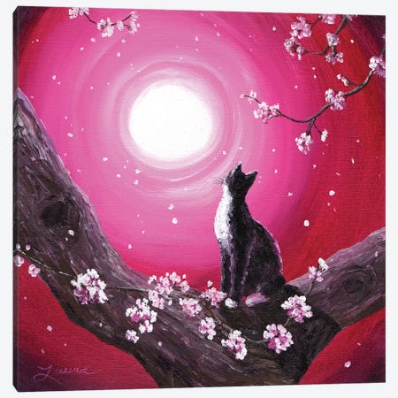 Tuxedo Cat In Cherry Blossoms Canvas Print #LAI107} by Laura Iverson Canvas Artwork