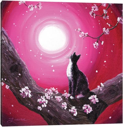 Tuxedo Cat In Cherry Blossoms Canvas Art Print - Tuxedo Cat Art