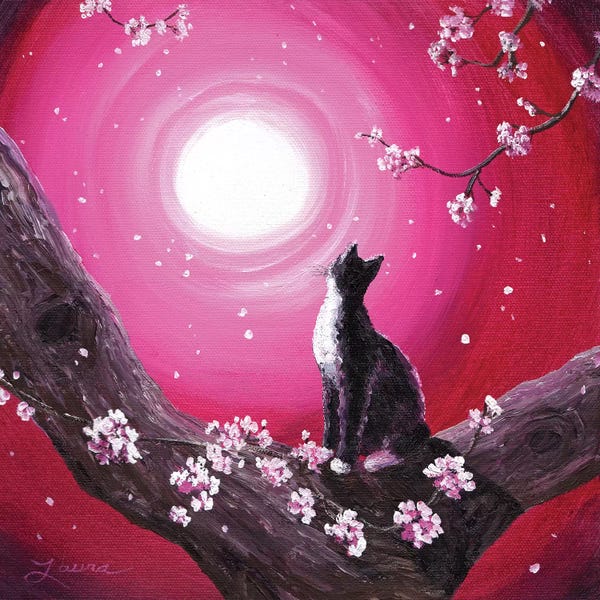 Blossoms: Tuxedo Cat In Cherry Blossoms by Laura Iverson