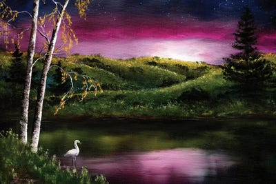 Twilight At Vasona Lake by Laura Iverson framed canvas print