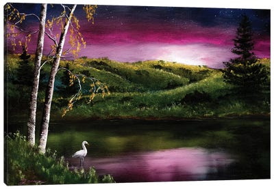 Twilight At Vasona Lake Canvas Art Print - Laura Iverson