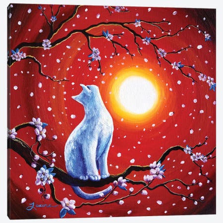 White Cat In Bright Sunset Canvas Print #LAI110} by Laura Iverson Canvas Art