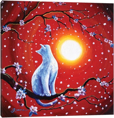 White Cat In Bright Sunset Canvas Art Print - Laura Iverson