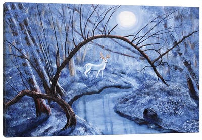 White Stag At Dunawi Creek Canvas Art Print - Laura Iverson