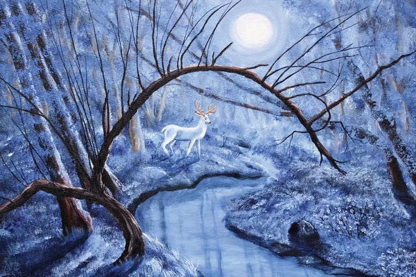 Oregon: White Stag At Dunawi Creek by Laura Iverson