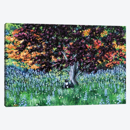 Tuxedo Cat Under A Japanese Maple Tree Canvas Print #LAI116} by Laura Iverson Canvas Art Print