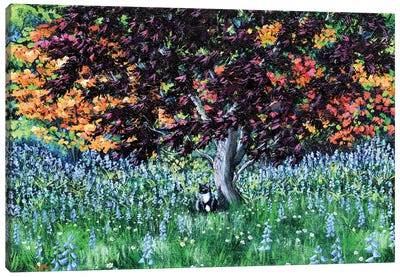 Tuxedo Cat Under A Japanese Maple Tree Canvas Art Print - Laura Iverson
