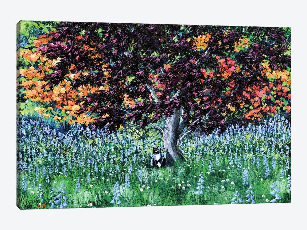 Tuxedo Cat Under A Japanese Maple Tree by Laura Iverson 1-piece Canvas Art Print