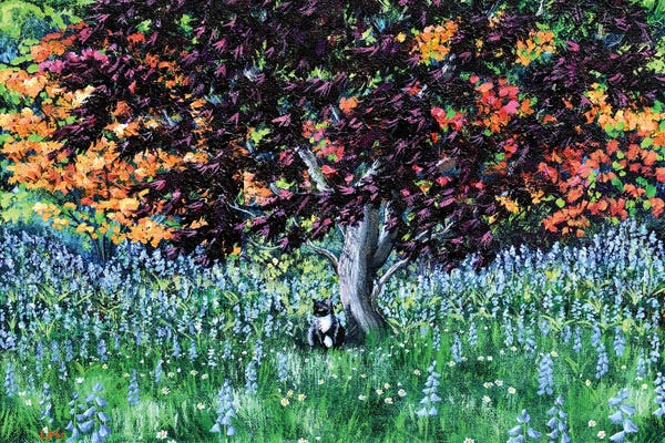 Laura Iverson: Tuxedo Cat Under A Japanese Maple Tree by Laura Iverson