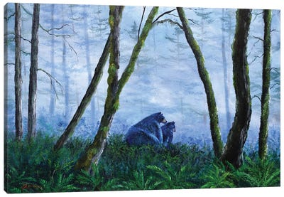 Black Bears In The Mist Canvas Art Print - Black Bear Art