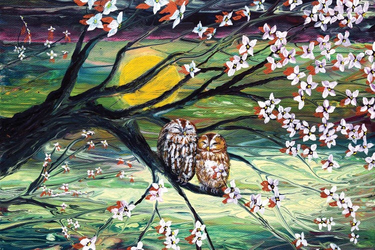 Sleepy Owls In Dogwood Blossoms