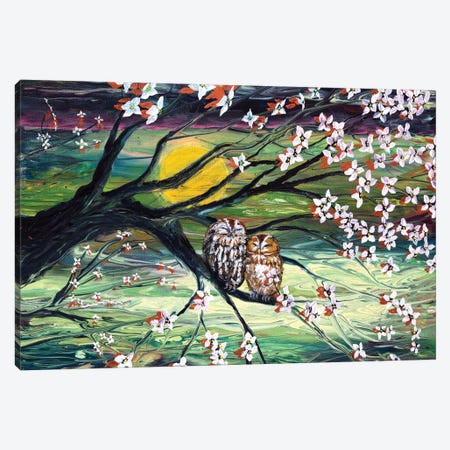 Sleepy Owls In Dogwood Blossoms Canvas Print #LAI124} by Laura Iverson Canvas Art