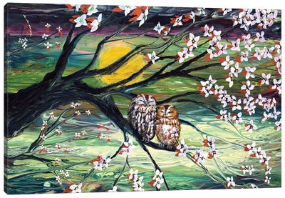 Sleepy Owls In Dogwood Blossoms Canvas Art Print - Zen Bedroom Art