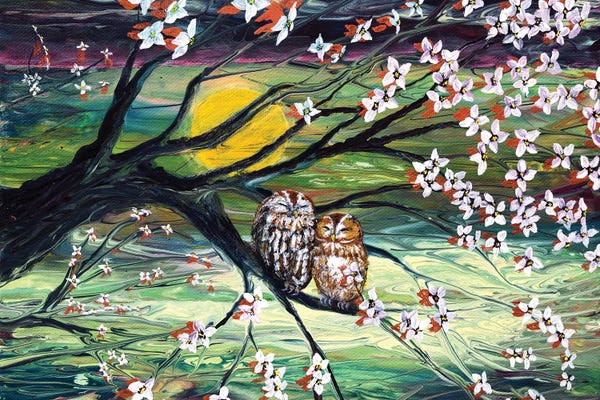 Love Birds: Sleepy Owls In Dogwood Blossoms by Laura Iverson
