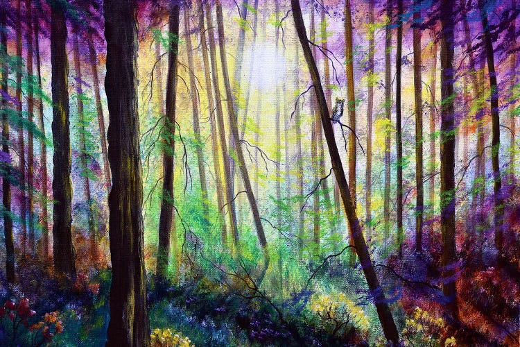 Forest Dream by Laura Iverson wall art